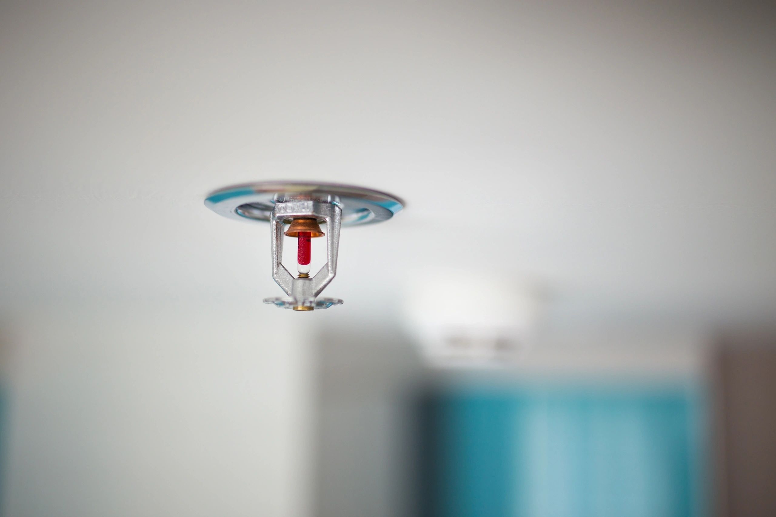 Ceiling-mounted fire sprinkler head with blue deflector